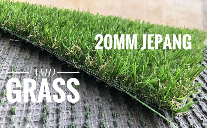 Rumput Jepang Dan Rumput Swiss Amd Grass