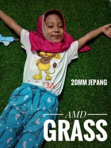 Jual rumput ADM Grass 20mm jepang