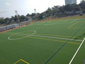 Jual rumput buatan untuk lapangan futsal