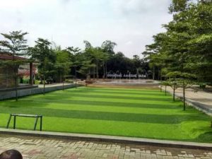 rumput buatan untuk taman di AMD Grass