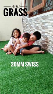 Jual rumput Swiss AMD Grass