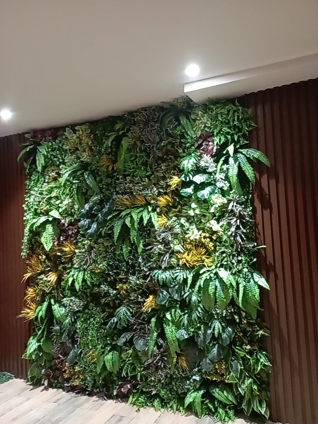 Photo 2022 11 24 21 50 35