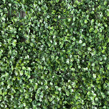 Vertical Garden