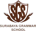 About logo sgs