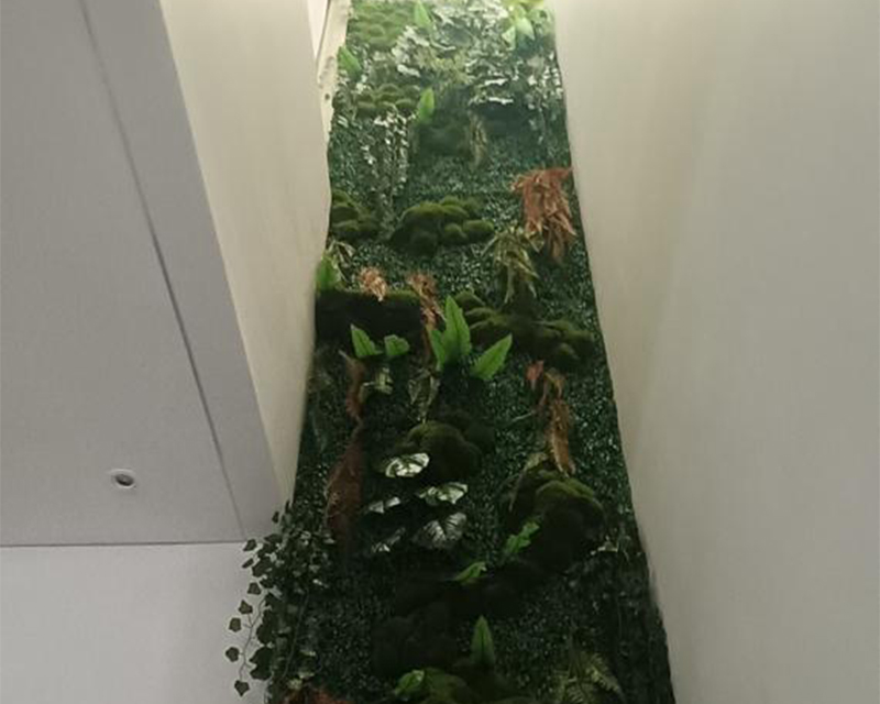 Project gallery moss 1