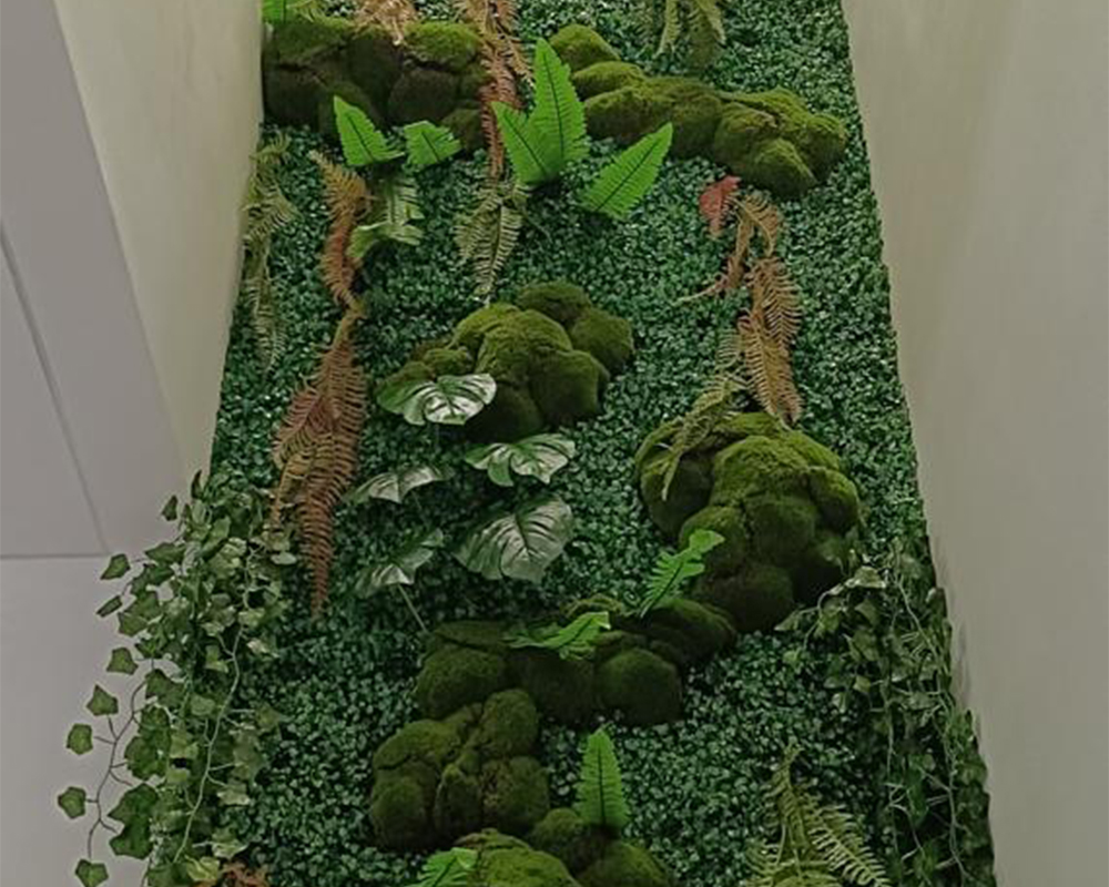 Project gallery moss 5