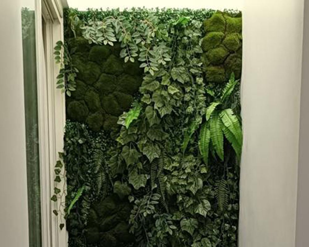 Project gallery moss 6