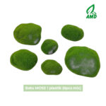 Batu MOSS Lumut Sintetis